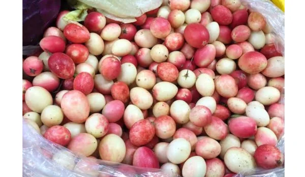 Sour Berries Karonda